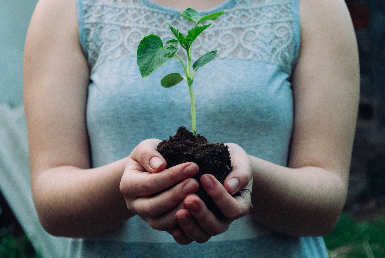 Image of a person holding a growing plant, symbolizing consistency and growth.