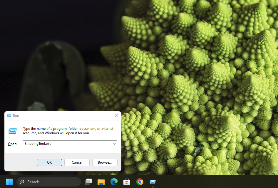 Using the run command to open the snipping tool.